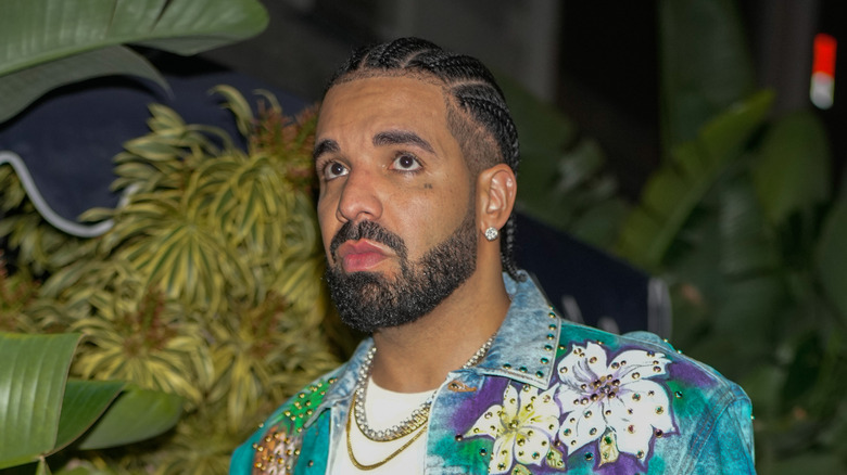 Drake en photos