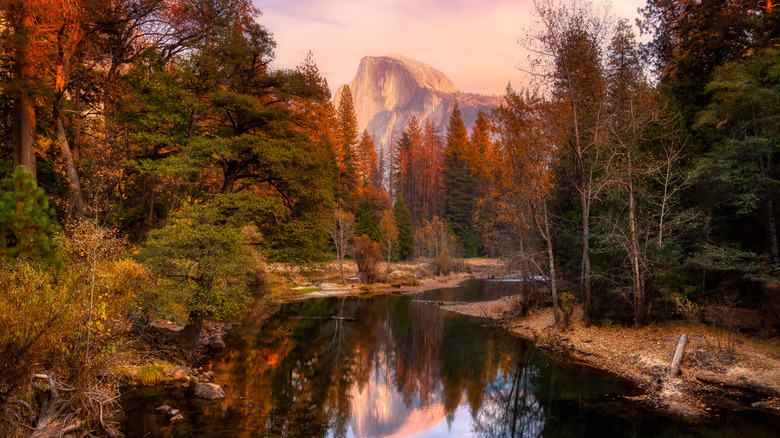 Vue panoramique du Half Dome du parc national de Yosemite