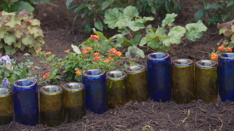 Bordure de bouteilles de vin autour du jardin