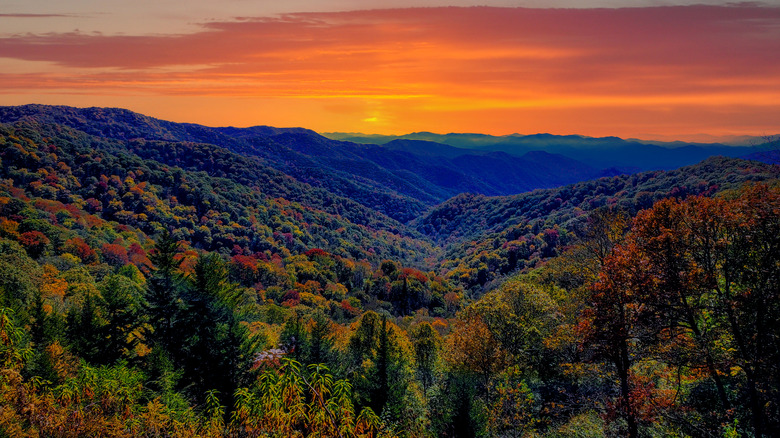 Parc national des Great Smoky Mountains