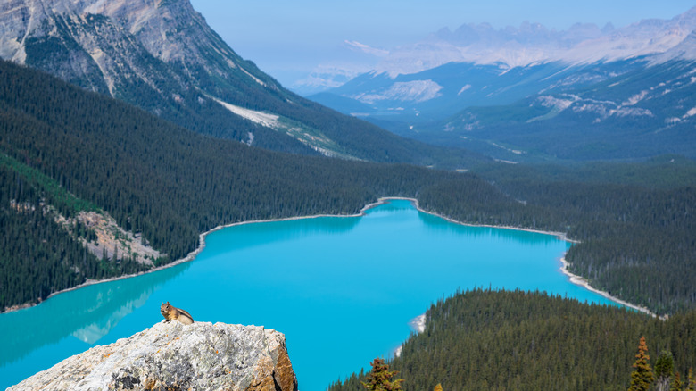 un lac dans le parc national de Banff