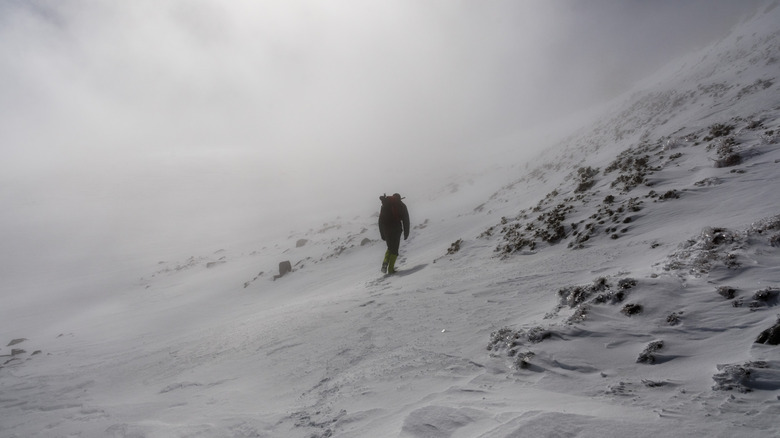 Randonnée au Mont Baldy au printemps