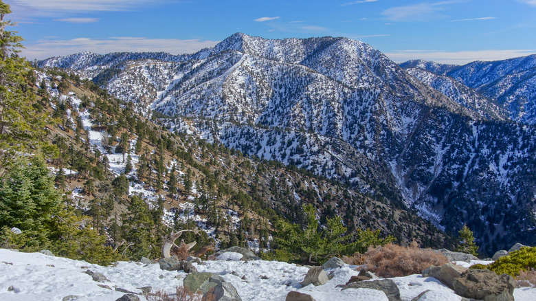 Mont San Antonio (Baldy) en hiver