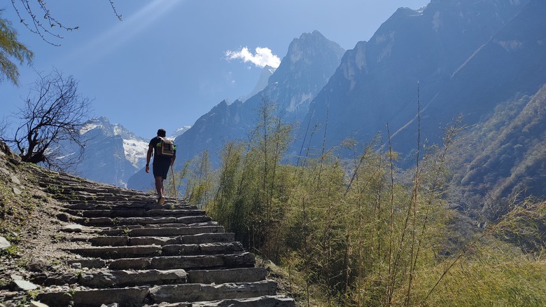 Escaliers du sentier du camp de base de l'Annapurna