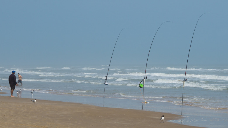 pêche au surf sur l'île Padre