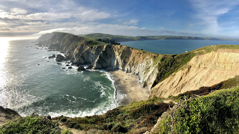 littoral national de Point Reyes