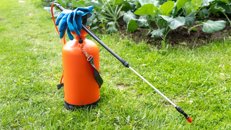 pulvérisateur de plantes dans la cour et le jardin