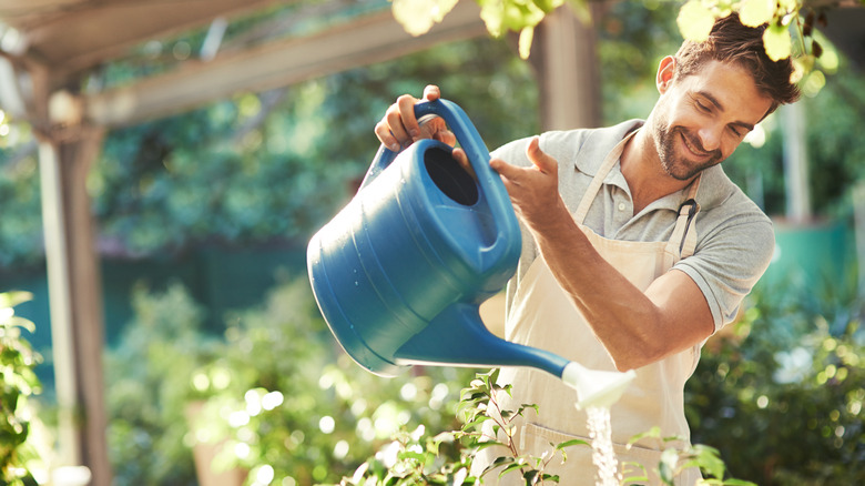 homme arrosant des plantes