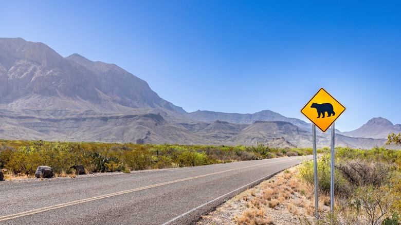 panneau de passage pour ours au parc national de Big Bend