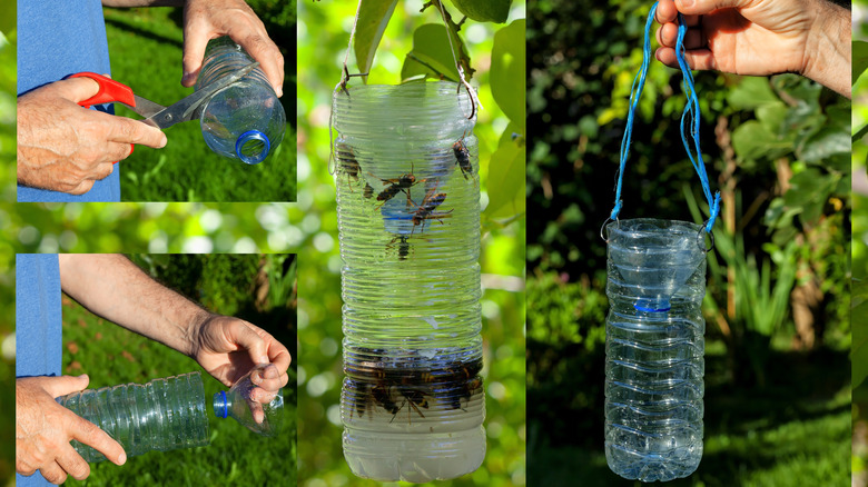 fabrication d'un piège à insectes avec fond en plastique