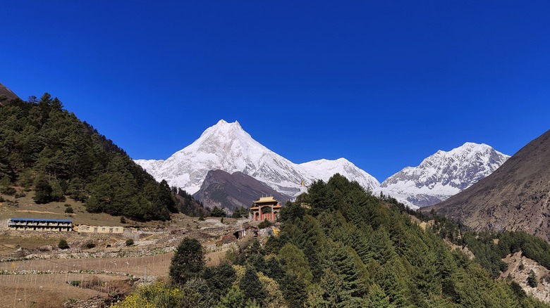 Vue du Mont Manaslu depuis le village de Lho