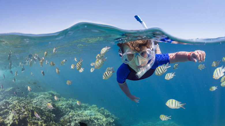 Un enfant fait de la plongée avec tuba près d'un récif de corail et de poissons