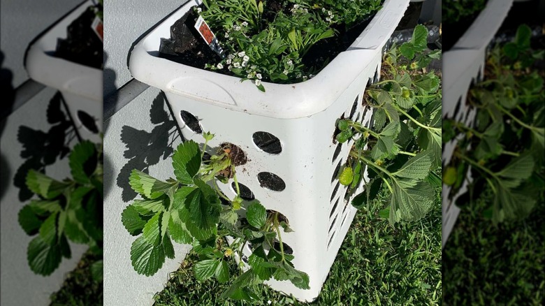 Panier à linge blanc