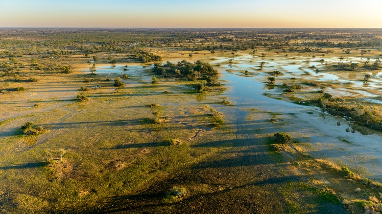 Vue aérienne du delta de l'Okavango