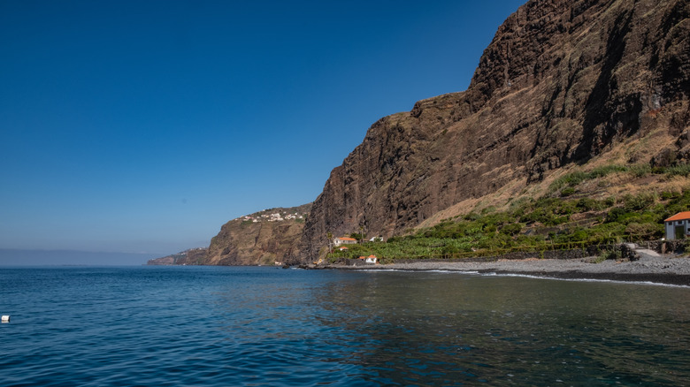 La falaise de Madère 