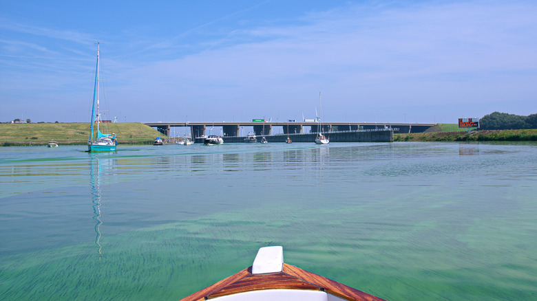 Pointe de bateau dans l'eau d'algues bleu-vert