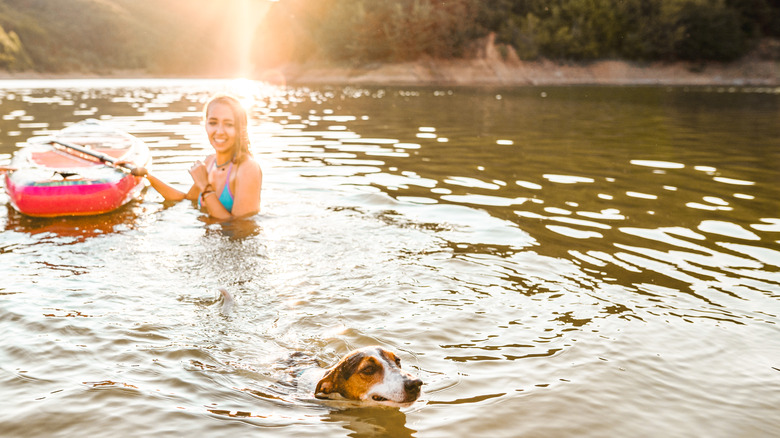 Personne nageant avec un chien