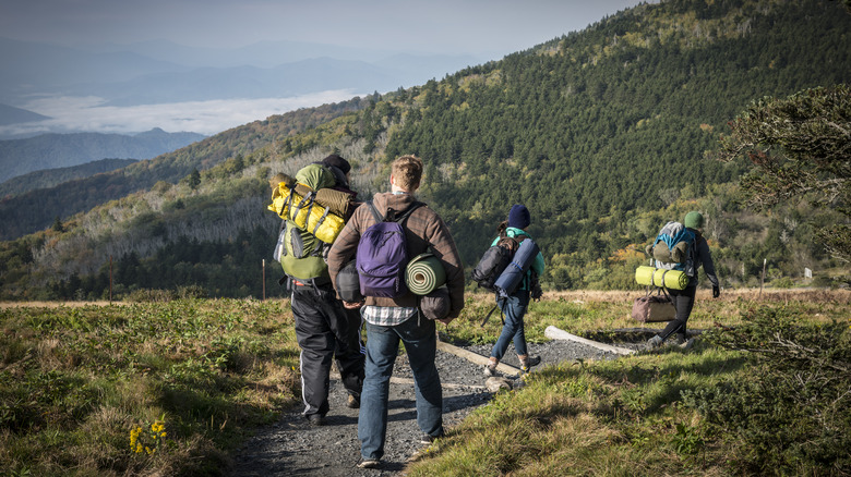 Campeurs dans les Appalaches