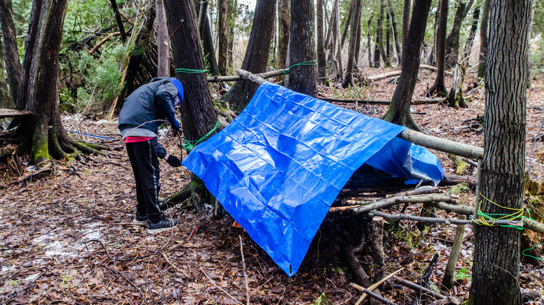 Construction d'un abri de type bâche de bushcraft 