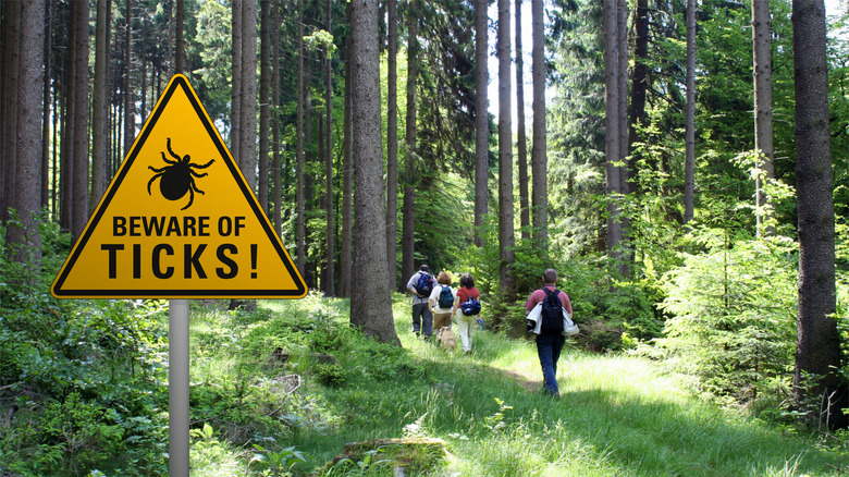 Panneau d'avertissement contre les tiques dans la forêt