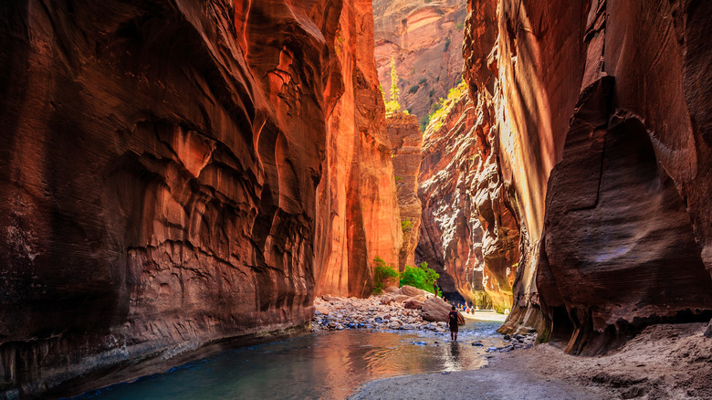 Les Narrows dans le parc national de Zion