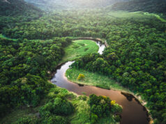 Vue aérienne du fleuve Amazone et de la forêt tropicale