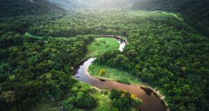 Vue aérienne du fleuve Amazone et de la forêt tropicale