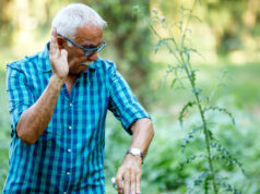 Un homme âgé frappe un moustique