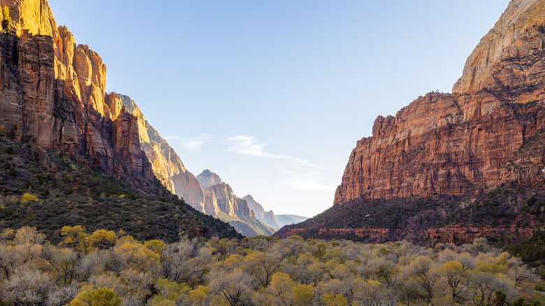 Le parc national de Zion en hiver