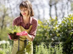 Femme tenant une jeune plante de jardin