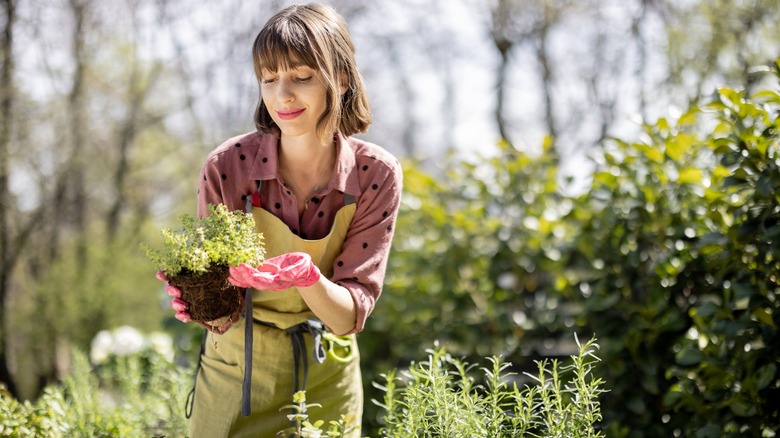 Femme tenant une jeune plante de jardin