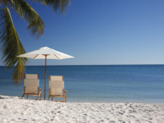 Chaises de plage et parasol sous un palmier