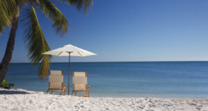 Chaises de plage et parasol sous un palmier