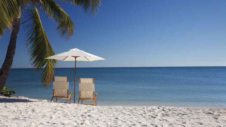 Chaises de plage et parasol sous un palmier