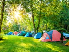 Tentes installées sur un camping 