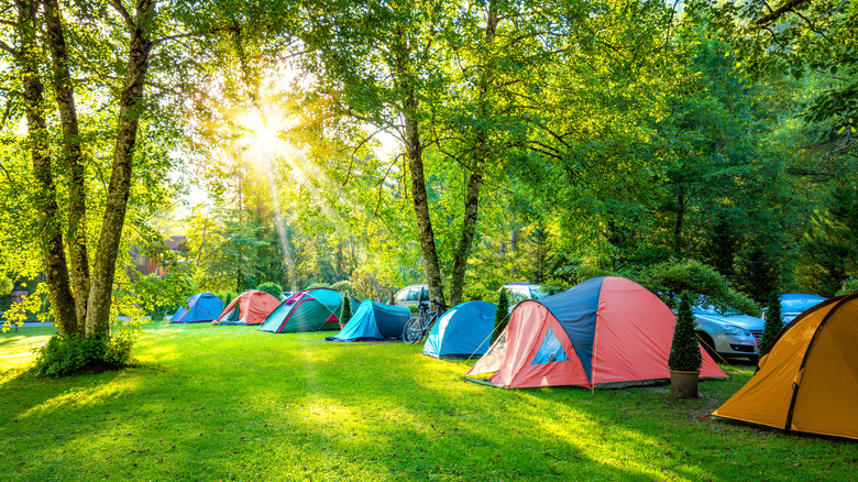 Tentes installées sur un camping 