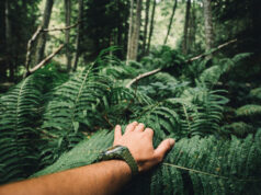 Main avec montre dans la jungle