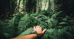 Main avec montre dans la jungle