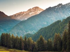 Paysage de forêt avec montagnes himalayennes