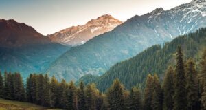 Paysage de forêt avec montagnes himalayennes