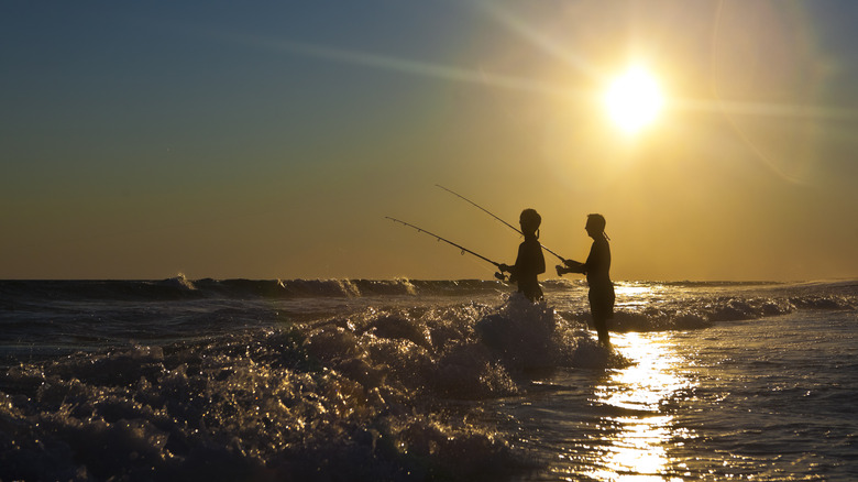 pêche au surf le long de la côte du golfe