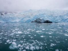 Bateau de pêche emprisonné par la glace