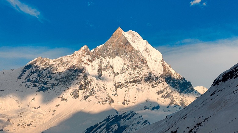 Vue de la montagne Fishtail au lever du soleil