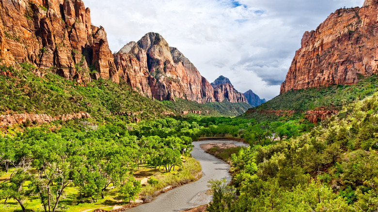 Parc national de Zion, rivière Virgin