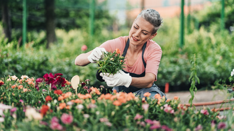 Jardinier travaillant dans le jardin