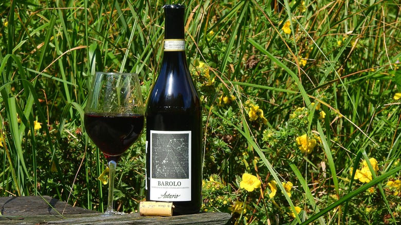 Bouteille de vin avec verre dans le jardin