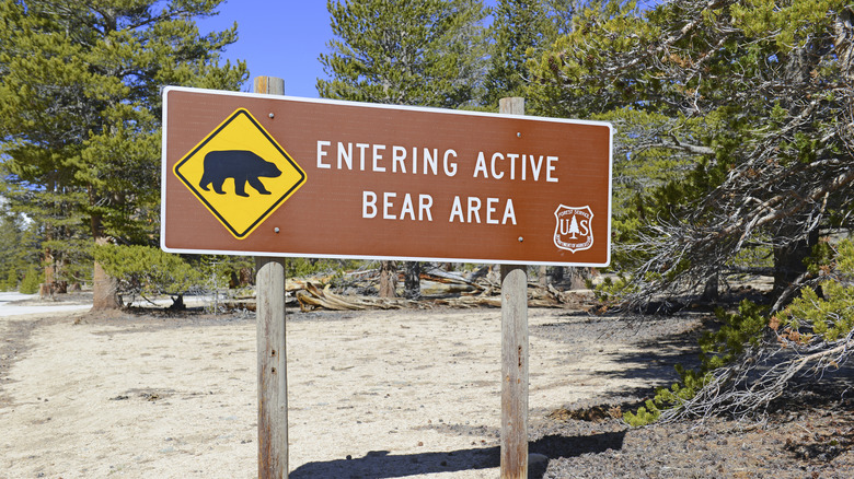 Panneau d'avertissement d'ours