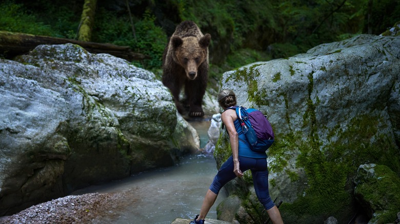 femme rencontrant un grizzly 