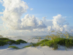 plage sur la côte du golfe de Floride