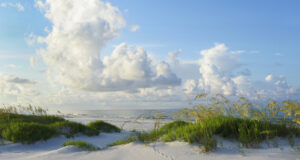 plage sur la côte du golfe de Floride